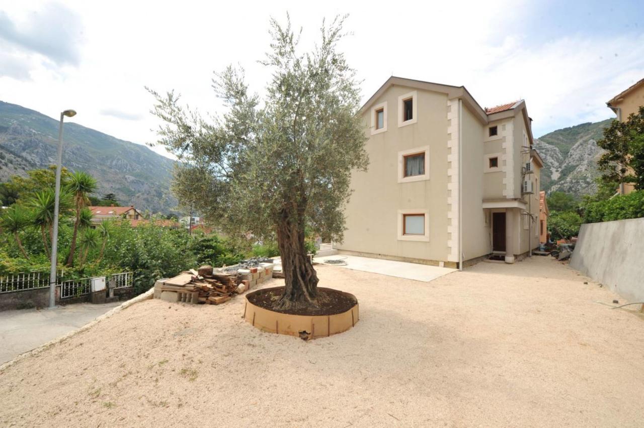 Apartments Olive Kotor Eksteriør bilde